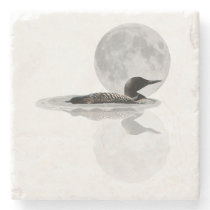 Loon Swims In The Moonlight Stone Coaster