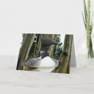 Loon Wilderness Card