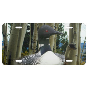 Loon Wilderness License Plate