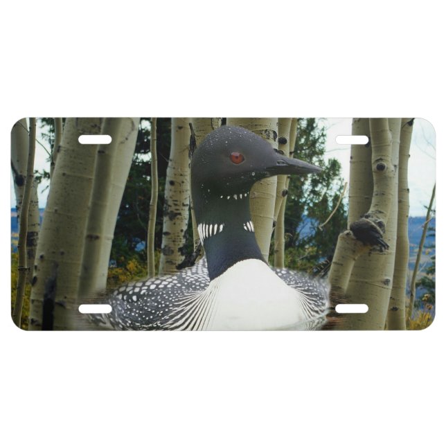 Loon Wilderness License Plate (Front)