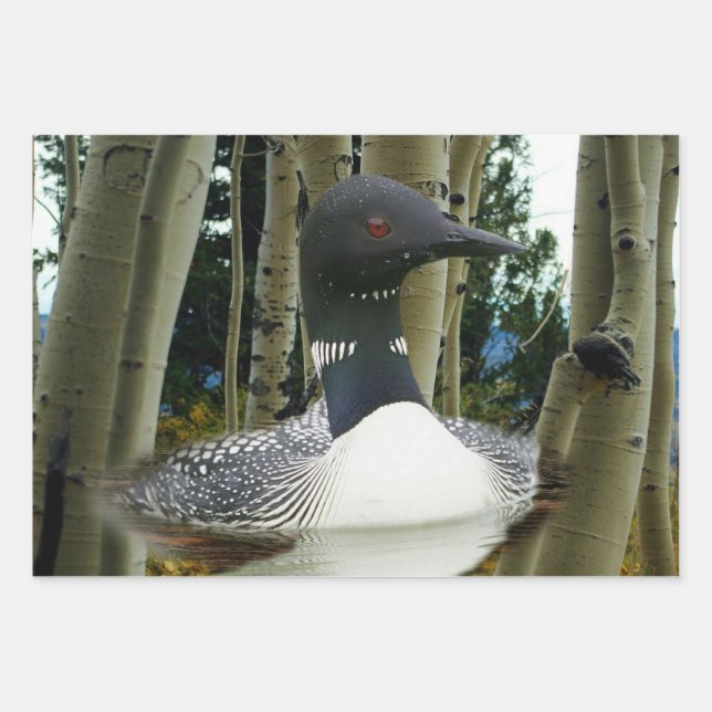 Loon Wilderness Wrapping Paper Sheets (Front)