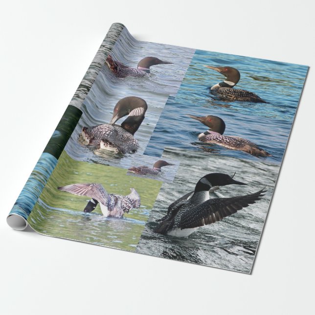 Loon Wrapping Paper (Unrolled)