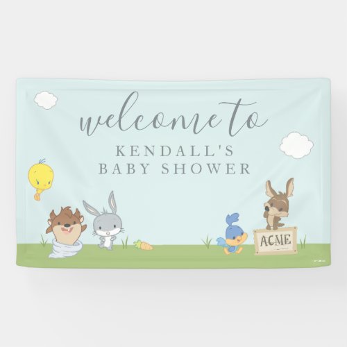 LOONEY TUNES Baby Shower Welcome Banner
