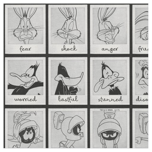 LOONEY TUNES™ Character Emotion Chart Fabric