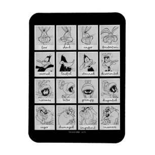 LOONEY TUNES™ Character Emotion Chart Magnet