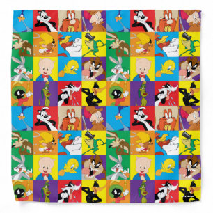 LOONEY TUNES™ Character Grid Bandana
