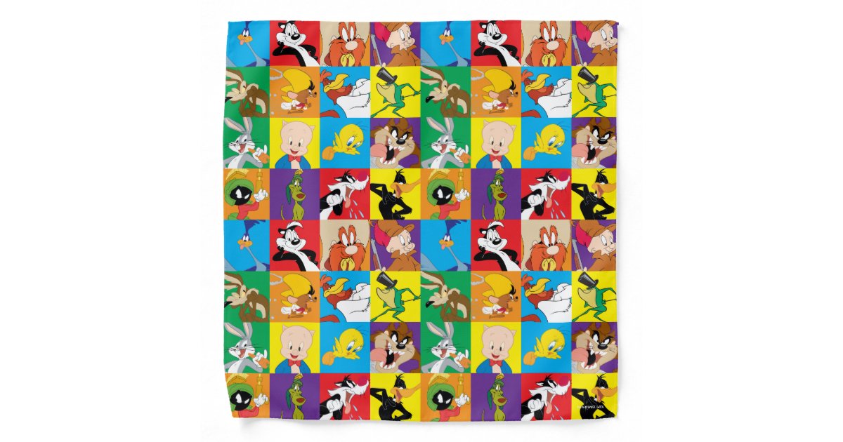  Looney Tunes Speedy Gonzales Garden Yard Flag : Patio, Lawn &  Garden