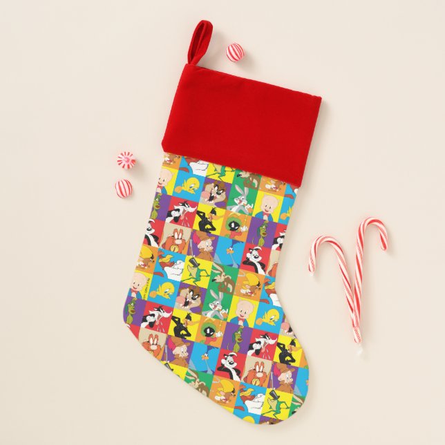 LOONEY TUNES™ Character Grid Christmas Stocking (Front)