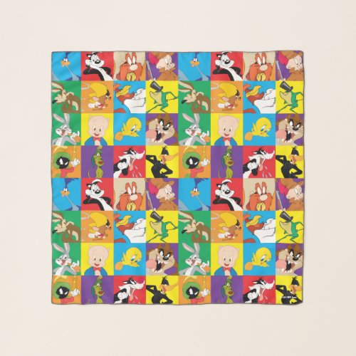 LOONEY TUNESâ Character Grid Scarf