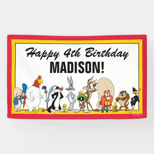 LOONEY TUNES Character Group  Birthday Banner