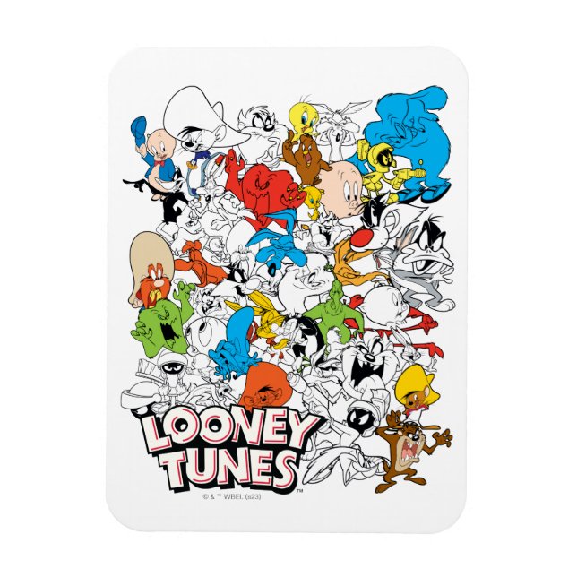 LOONEY TUNES™ Color Pop Pattern Magnet (Vertical)