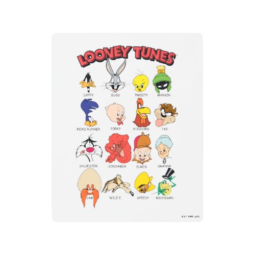 LOONEY TUNESâ Headshots Metal Print