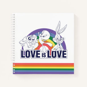 LOONEY TUNES™ - Love Is Love Notebook