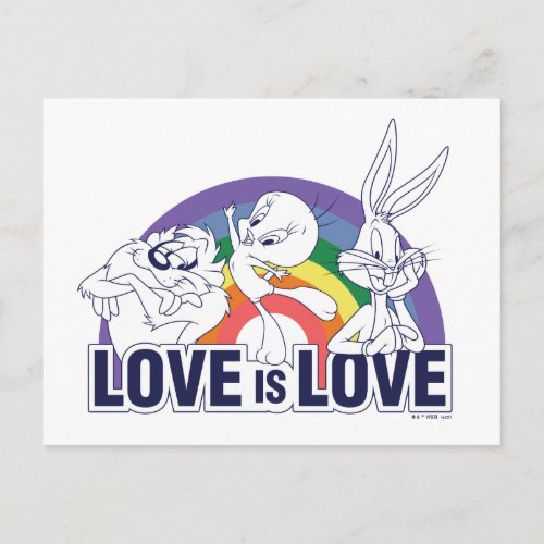 LOONEY TUNES _ Love Is Love Postcard