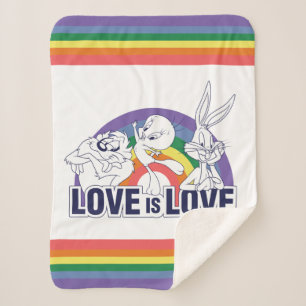 LOONEY TUNES™ - Love Is Love Sherpa Blanket