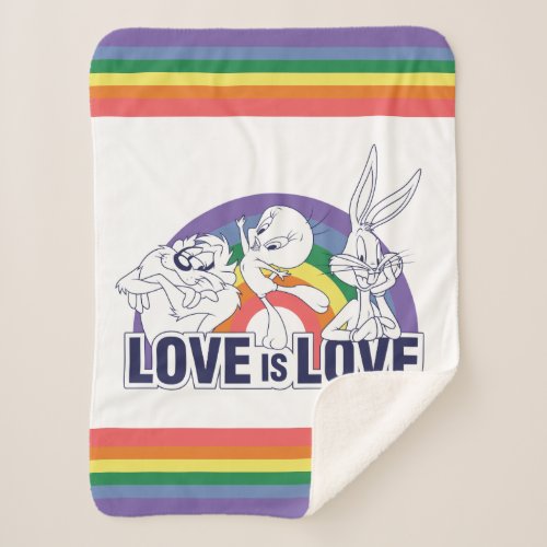 LOONEY TUNES _ Love Is Love Sherpa Blanket