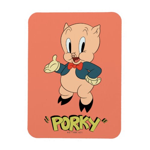 LOONEY TUNESâ Retro Laughs  Porky Pig Magnet