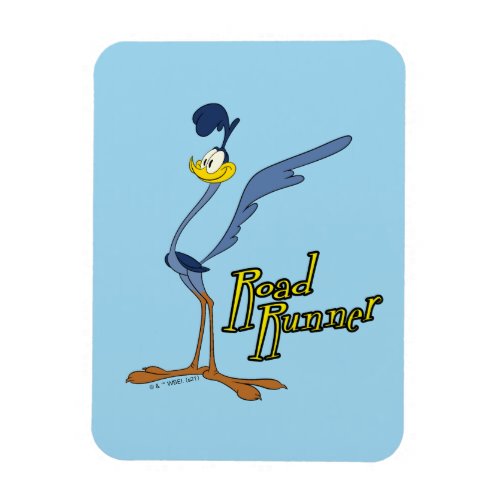 LOONEY TUNES Retro Laughs  ROAD RUNNER Magnet