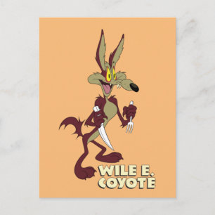LOONEY TUNES™ Retro Laughs WILE E. COYOTE™ Postcard
