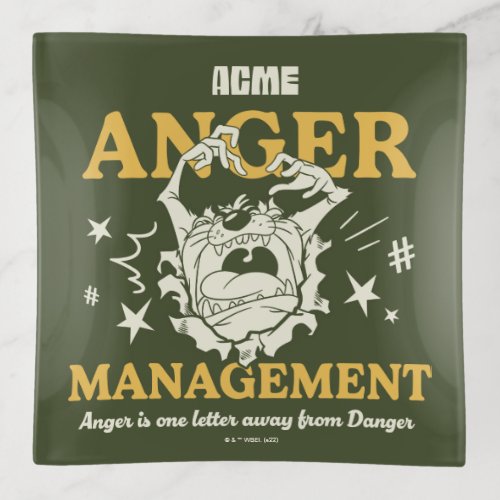 LOONEY TUNES TAZ ACME Anger Management Trinket Tray