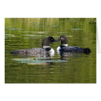 Loons Cards