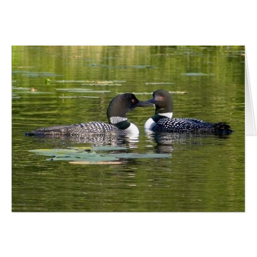 Loons Cards (Front Horizontal)