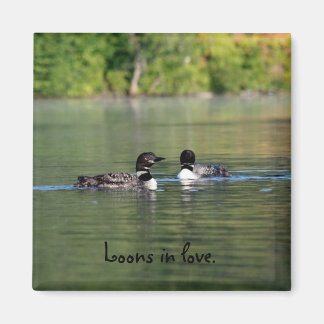 Loons in love magnet