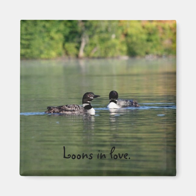 Loons in love magnet (Front)