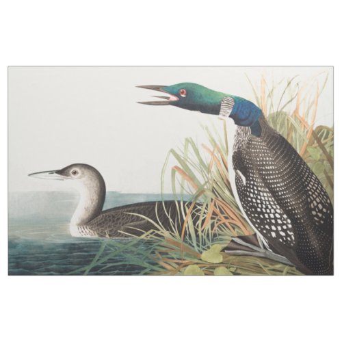 Loons Northern Diver by John James Audubon Fabric