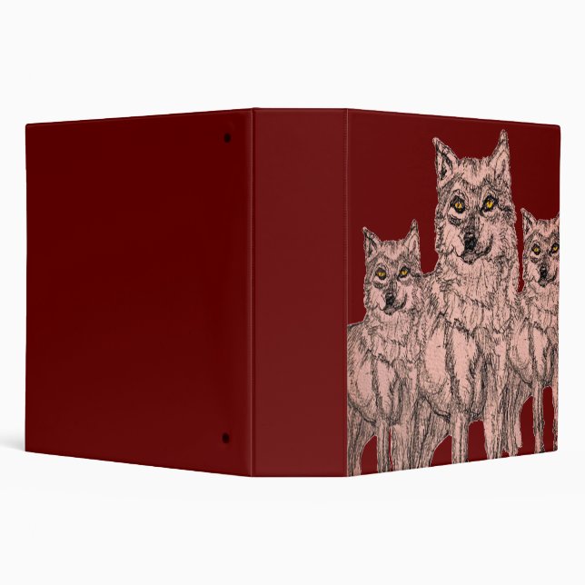 Loose leaf binder (Background)