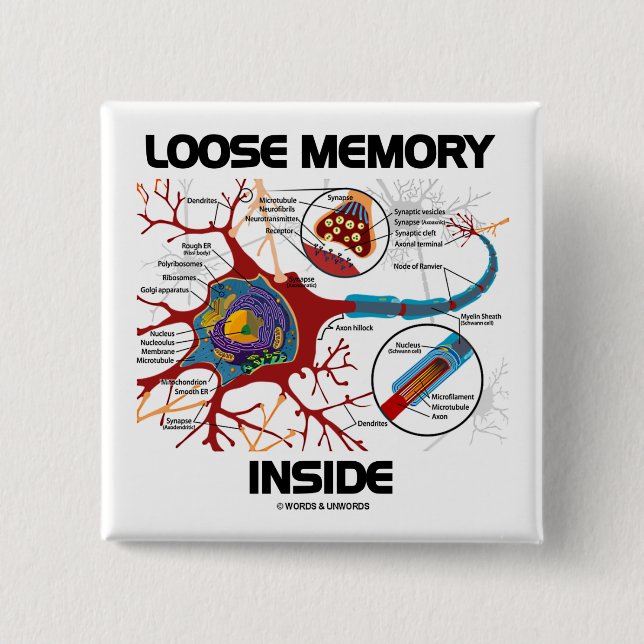 Loose Memory Inside (Neuron / Synapse) Button (Front)