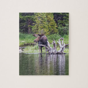 Loose Moose Jigsaw Puzzle