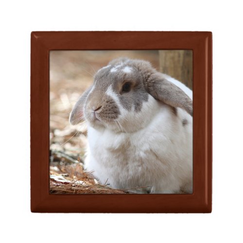 Lop_eared bunny jewelry box