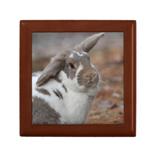 Lop_eared bunny keepsake box