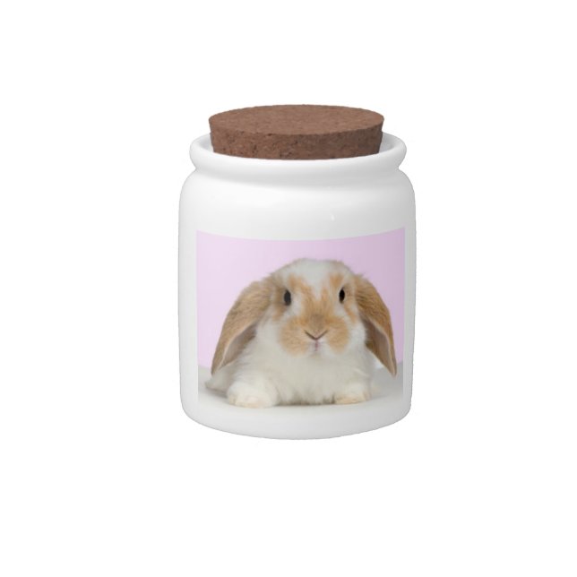 Lop-Eared Bunny Rabbit Candy Jar (Front)