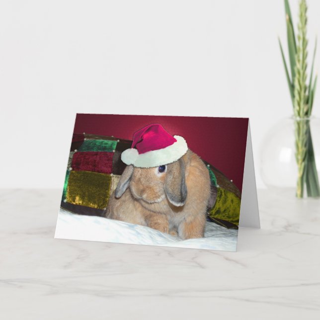 Lop Eared Bunny Xmas Card 1 (Front)