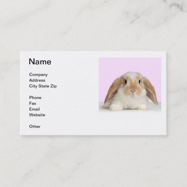 Lop Eared Rabbit Business Card (Front)