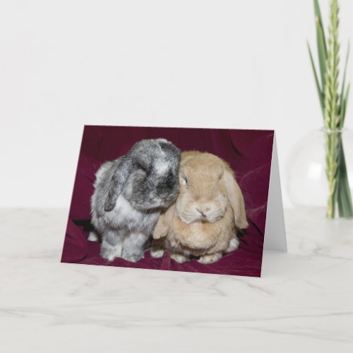 Lop Eared Rabbit Pair Card