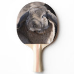 Lop Eared Rabbit Ping Pong Paddle