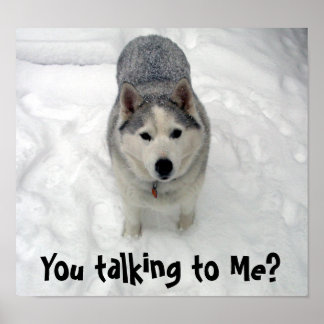 Lope You talking to Me? Poster