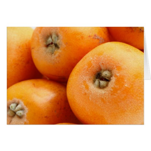 Loquats Cards (Front Horizontal)