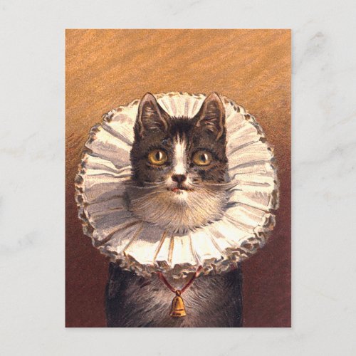 Lord Feline Postcard