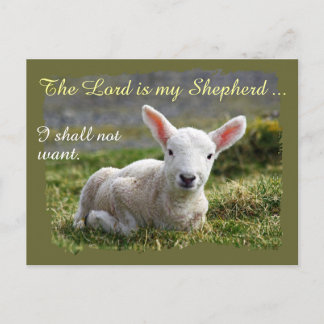 Lord is my Shepherd Little White Lamb Blank Postcard