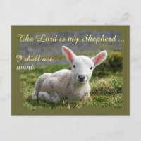 Lord is my Shepherd Little White Lamb Psalm 23