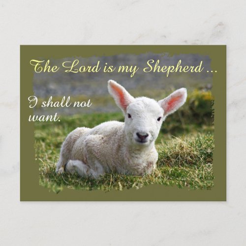 Lord is my Shepherd Psalm 23 Complete Version Postcard