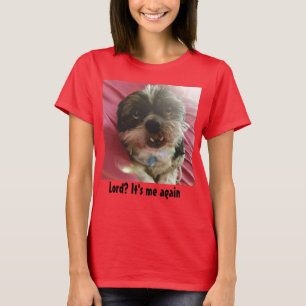 Lord? It's Me Again Shih Tzu Meme T-Shirt