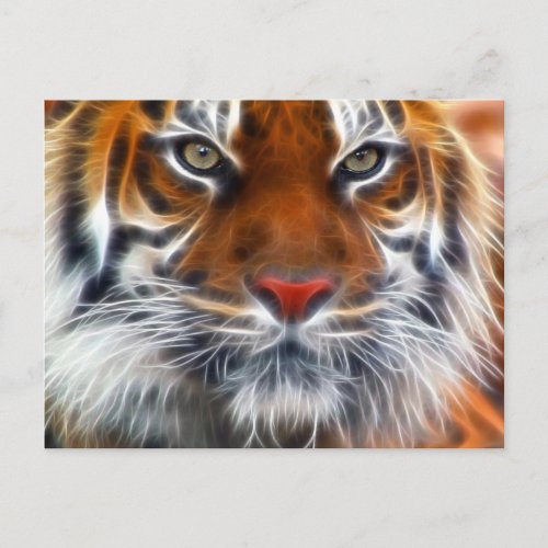 Lord of the Indian Jungles The Royal Bengal Tiger Postcard