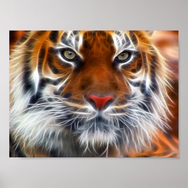 Lord of the Indian Jungles, The Royal Bengal Tiger Poster (Front)