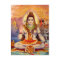 Lord Shiva Meditating Postcard