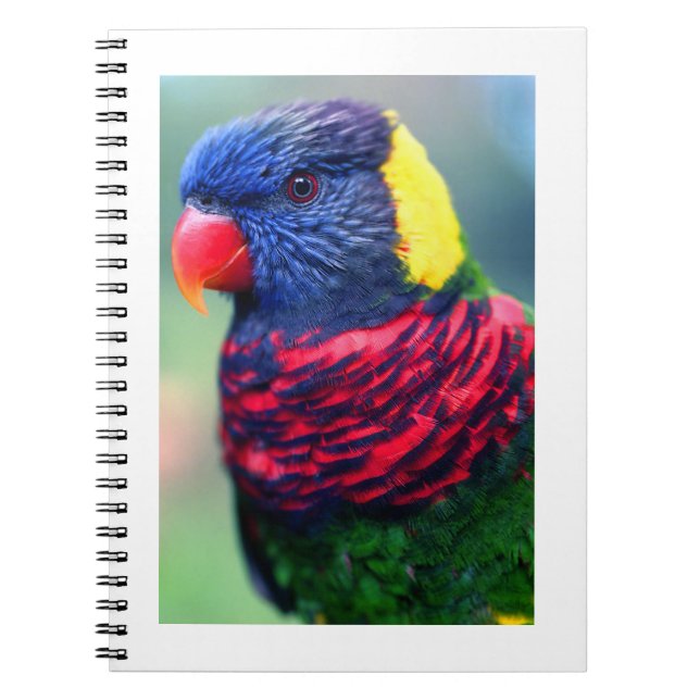 Lorikeet#1-Notebook Notebook (Front)